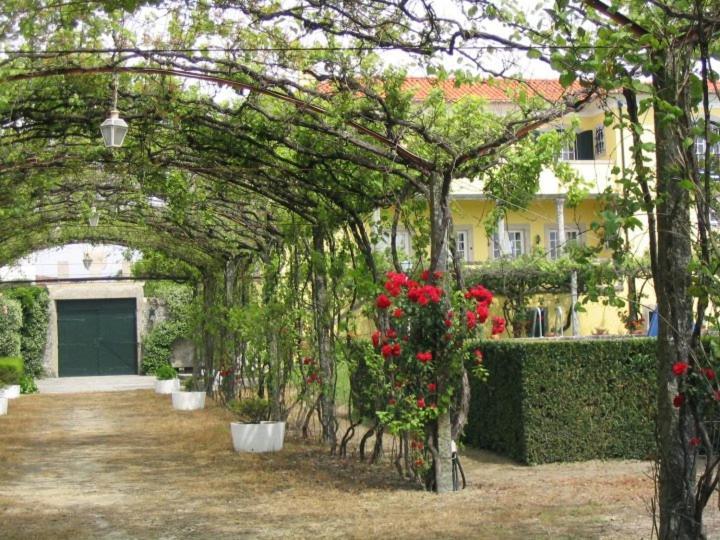 Casa/Apartamento De Hospedes เวียนา โด กัสเตโล ภายนอก รูปภาพ